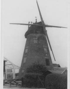 Tiptree Tower Mill, Tiptree