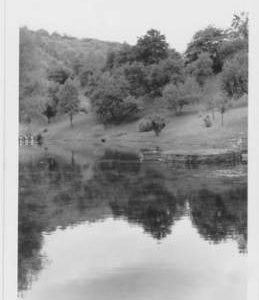 Duncton Mill, Duncton, pond
