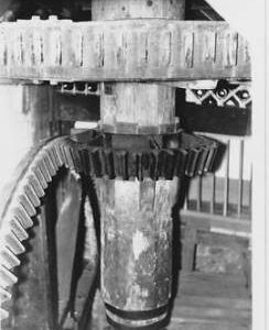 Terwick Mill , Terwick, internal pit wheel, wallower, spur wheel