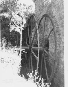 Kilve Mill, Kilve, wheel
