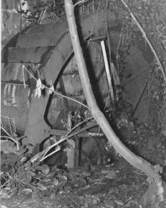 Grove Mill, Donhead St Mary, wheel, derelict