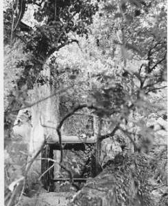 Hamptworth Farm Mill, Hamptworth, wheel, derelict