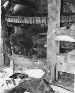 Hud Mill, Edington, internal, pit wheel and wallower, spur wheel