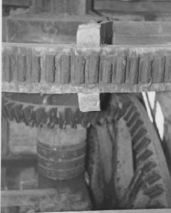 South Newton Mill, South Newton, internal, pit wheel, wallower, spur wheel