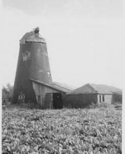 Fodderston Tower Mill, Shouldham Thorpe, cap derelict, no sails