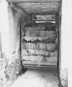 Groves Mill, Winterbourne Steepleton, internal, wheel
