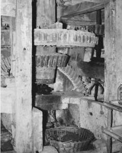 Groves Mill, Winterbourne Steepleton, internal, pit wheel, wallower, spur wheel