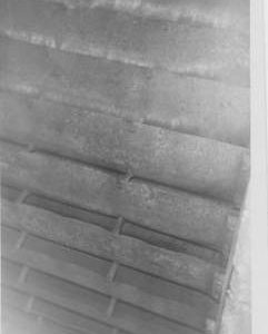 Peggs Farm Mill, Sutton Waldren, wheel close up