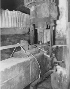 Unidentifed mill, internal, spur wheel, stone nut