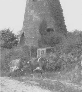 Hambledon Tower Mill, Hambledon, cap gone, query if it is Hambledon
