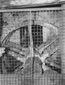 City Mill, Winchester, internal, remains of wheel