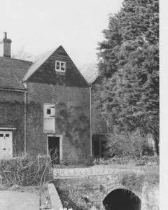 Greatham Mill, Greatham, tail race