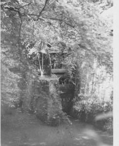 Ower Mill, Paultons Park, wheel