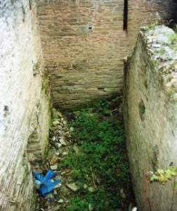 Longclose Farm Buckland-tout- Saints - wheelpit