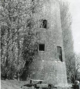 Nutbourne