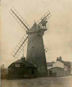 "Wray Common, Surrey"