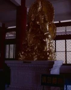 China, Dali, Chongsheng Temple. Side Statue