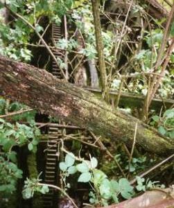 Surridge Farm, Skilgate - waterwheel