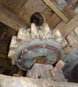 Stone nut, Friary Mill, Blakeney