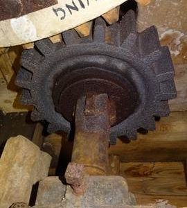 Stone nut, Brill Windmill, Brill