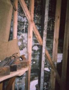 Section of framing, North Common Mill, North Chailey