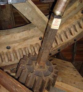 Head stone nut, High Salvington Windmill, High Salvington