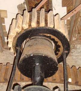 Stone nut, Great Mill, Haddenham