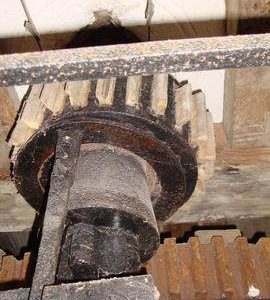 Stone nut, Great Mill, Haddenham