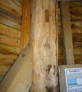 Cant post, smock mill, Herne