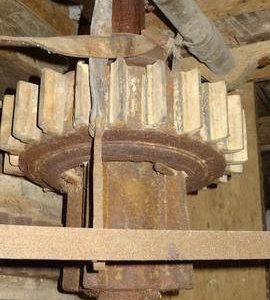 Stone nut, Shade Mill, Soham