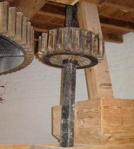 Stone nut, Mill Mount, Tuxford