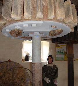 Stone nut, Holgate Mill, Holgate, York