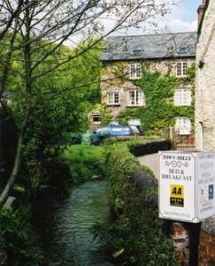 Town Mills, Dulverton - tailrace