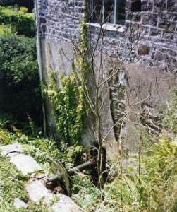 Twitchen Mill wheel-pit