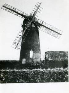 Toppesfield