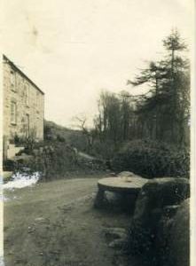 Lamorna