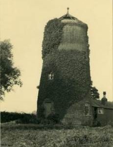 Ivy-clad tower, tower mill, Bicker