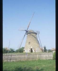 Preserved tower mill with sails and tailpole