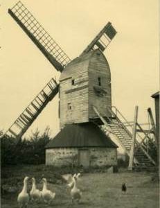 Post mill, Hartest, with geese in front