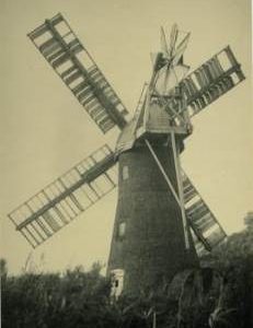 Marsh mill in reed bed, Chillesford Lodge Mill, Gedgrave