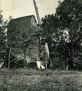 Post Mill in woodland