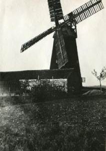 Foster's Mill, Swaffham Prior, behind Outbuilding