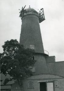 Ingleborough Mill, West Walton, by Farm