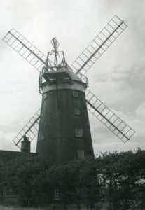 Savory's Mill, Burnham Overy, surrounded by trees
