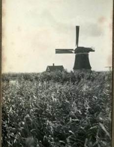 Mill stopped, canvas being fully spread