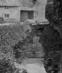 Downstream view, Deverell Farm, Milborne St Andrew
