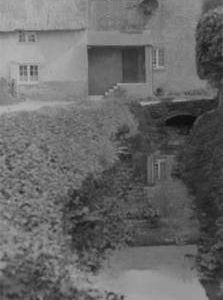 Downstream view, Deverell Farm, Milborne St Andrew