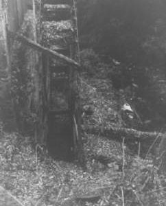 Disused and overgrown waterwheel