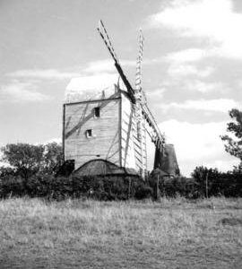 Jill Mill, Clayton, with Jack in background