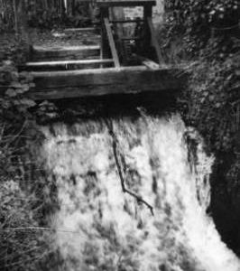 Flood hatch, watermill, Testwood